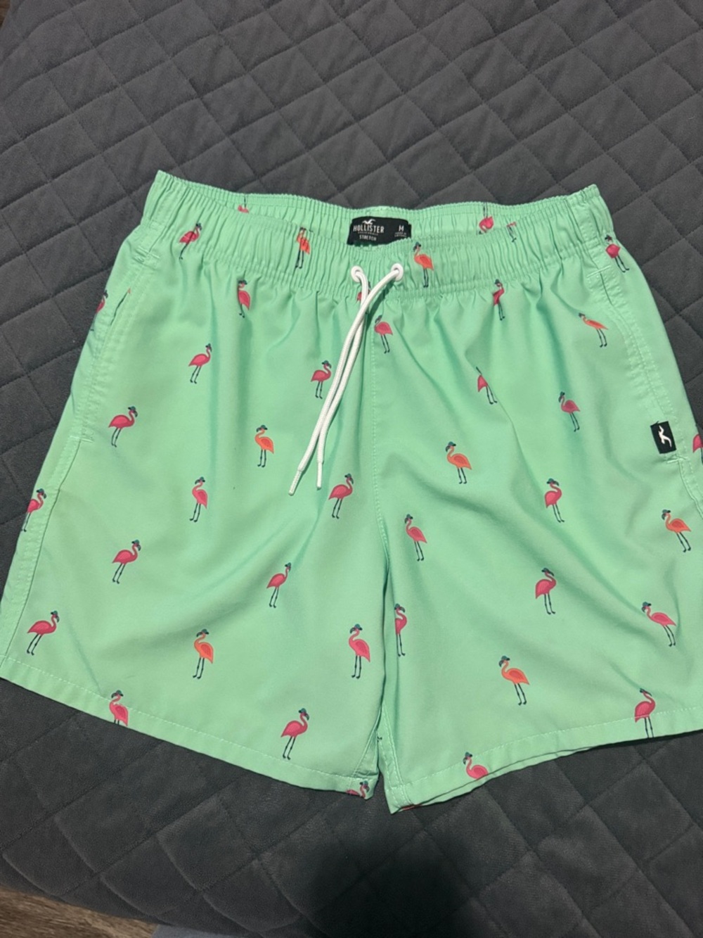 Hollister Mint Green Swim Trunks with Pink Flamingo Print